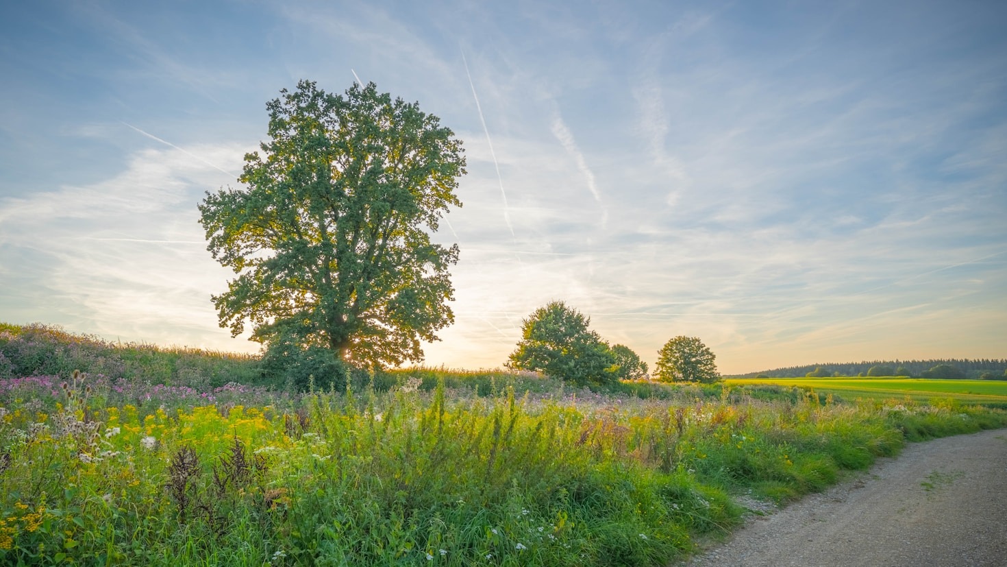 Why Minimalism Is the Key to Happiness