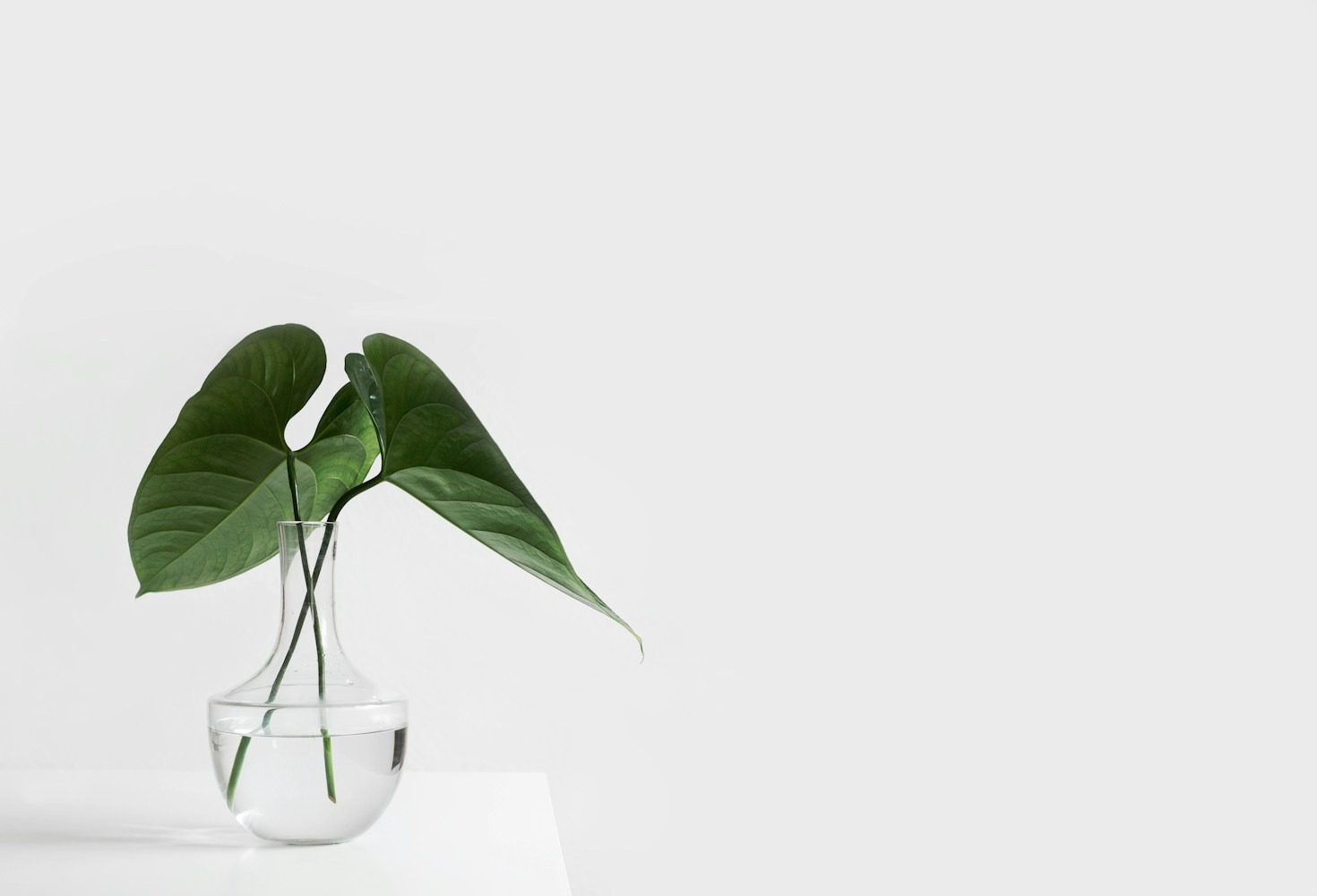 Declutter Your Life and Mindset Today
