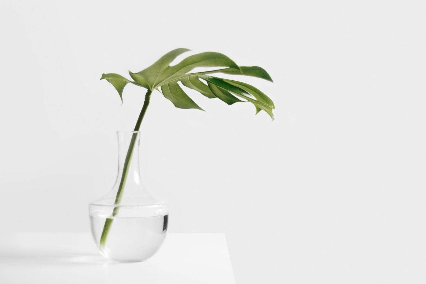 Transform Your Perspective Through Simplicity